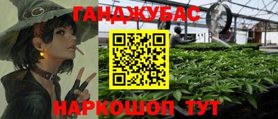 стаф Донецк