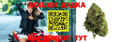 Альфа ПВП Дубна