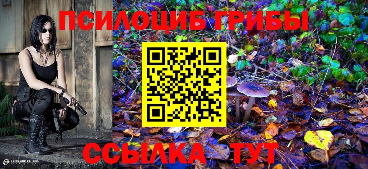 Мценск  Галлюциногенные грибы мухоморы  Галлюциногенные грибы мицелий  Вход с VPN 